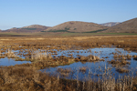 Aldomirovtsi Marsh    