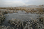 Aldomirovtsi Marsh    