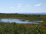      Blaikfjället Nature Reserve 