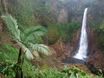 Catarata Del Toro   