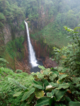 Catarata Del Toro Waterfall    