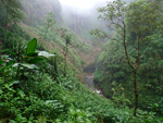 Catarata Del Toro Waterfall    