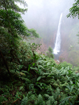 Catarata Del Toro Waterfall    