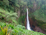 Catarata Del Toro Waterfall    