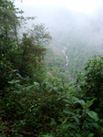 Catarata Del Toro Waterfall    