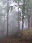 Stara Planina Mt.   Stara Planina Mt.