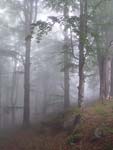 Stara Planina Mt.   Stara Planina Mt.