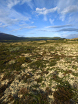 .     Dovrefjell National Park