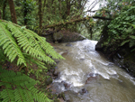 La Paz Waterfall    