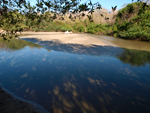 Las Baulas National Marine Park   