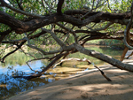 Las Baulas National Marine Park   