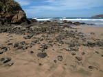 Las Baulas National Marine Park   