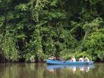 Tortuguero    