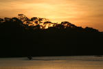 Tortuguero    