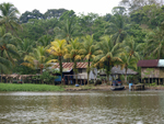 Tortuguero region   